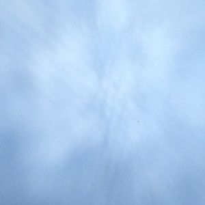 Meet your Posher, Bridget